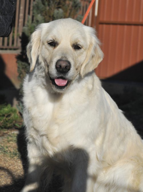 20220328-stella2
